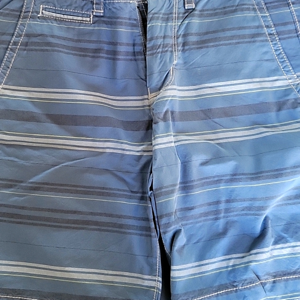 American Eagle Men's shorts